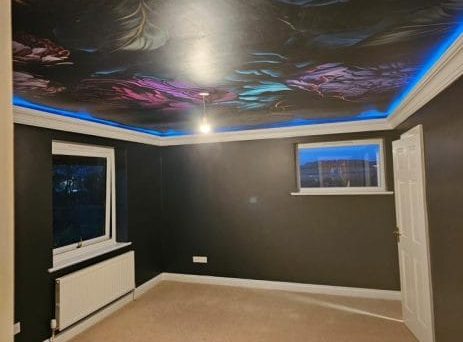 Professional Decorators